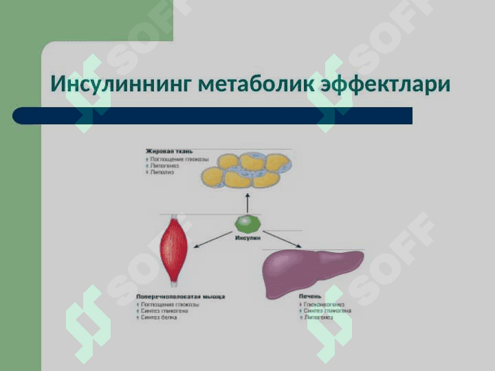 Моддалар алмашинуви хасталиклари 5