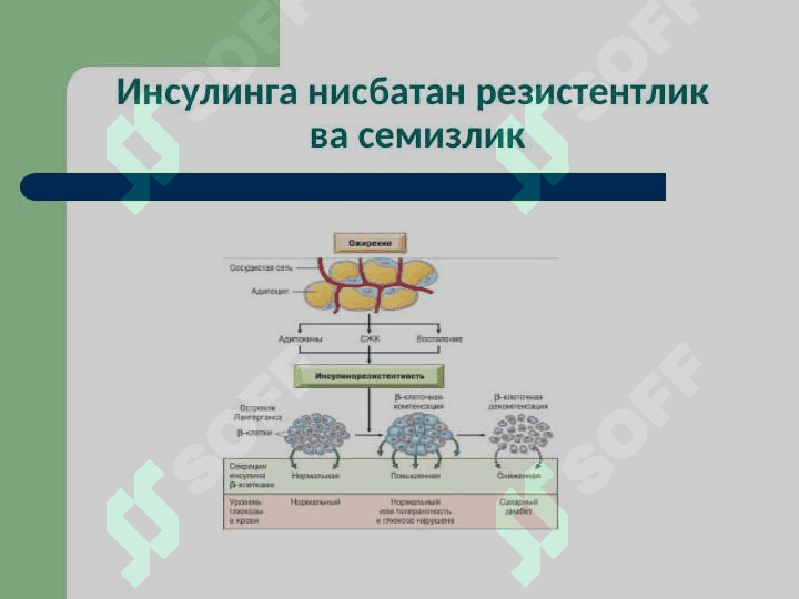 Моддалар алмашинуви хасталиклари 8