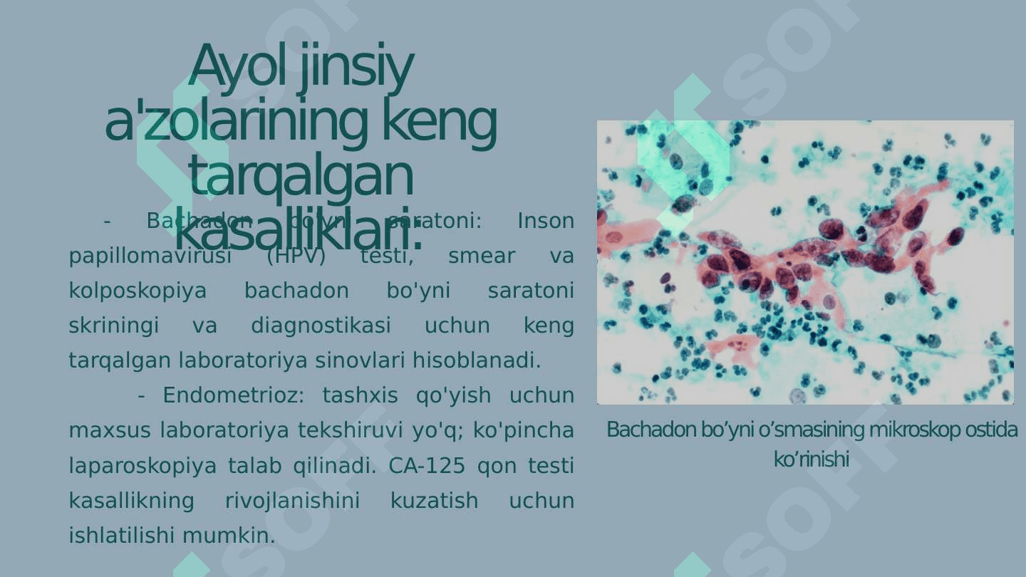 Ayollar jinsiy a’zolari kasalliklari va ularni klinik laborator tekshirish usullari 2
