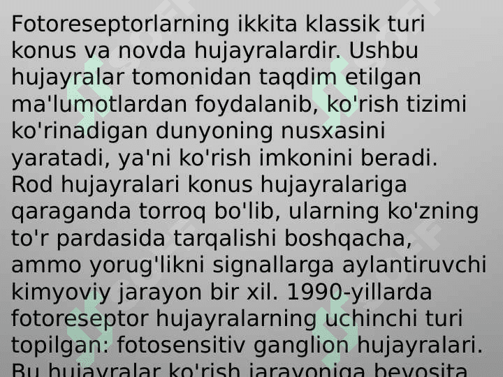 Fotoretsepsiyaning morfologik asoslari 4