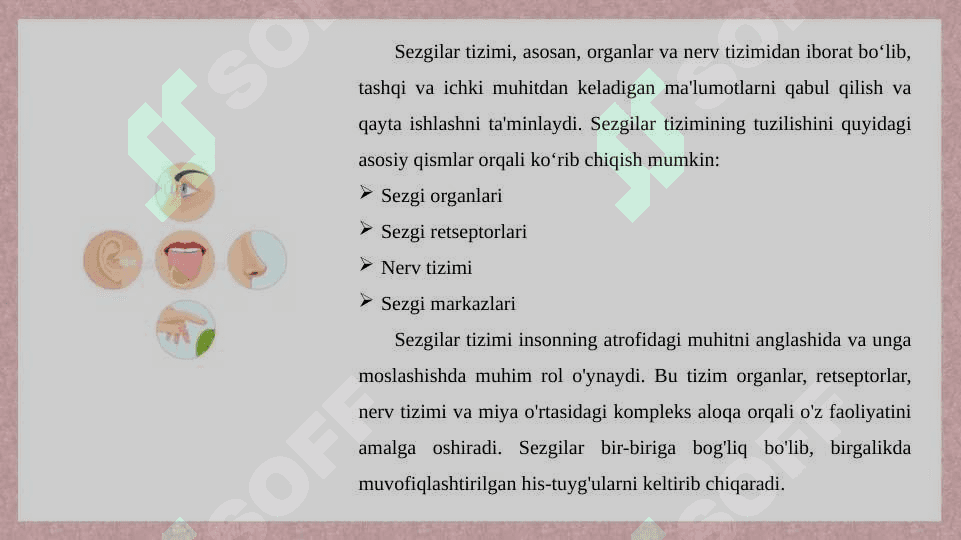 Sezgi haqida tushuncha 4