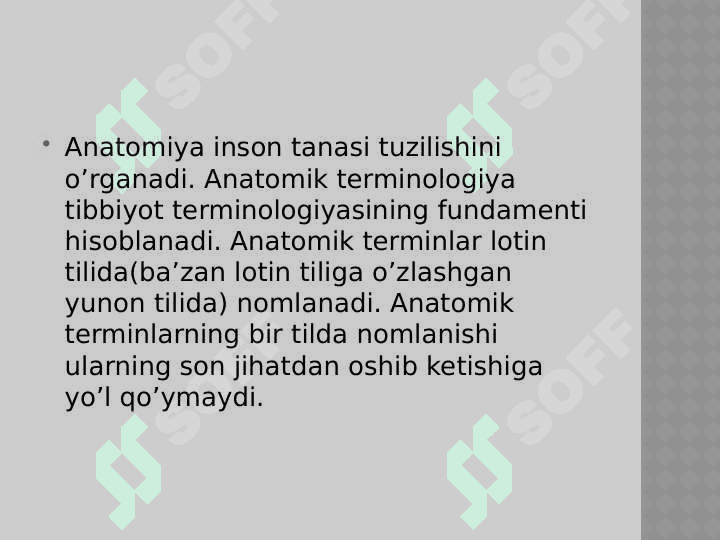 anatomik iboralar tarjimasi 2