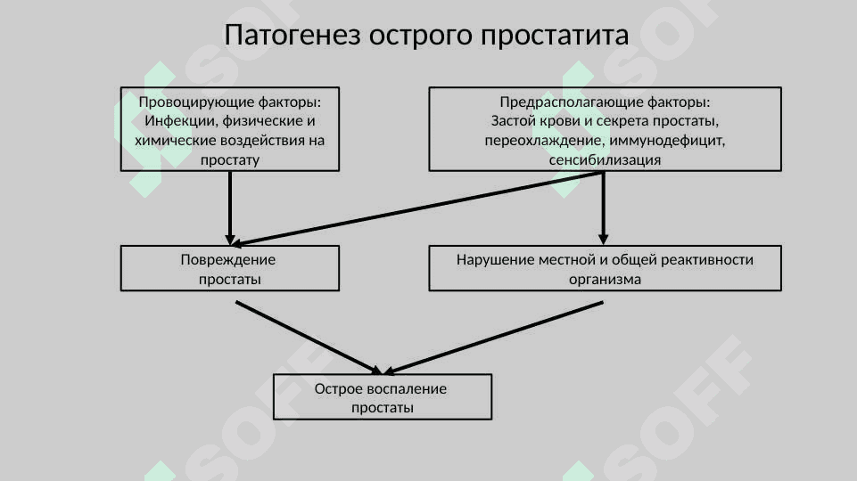 Простатить 8