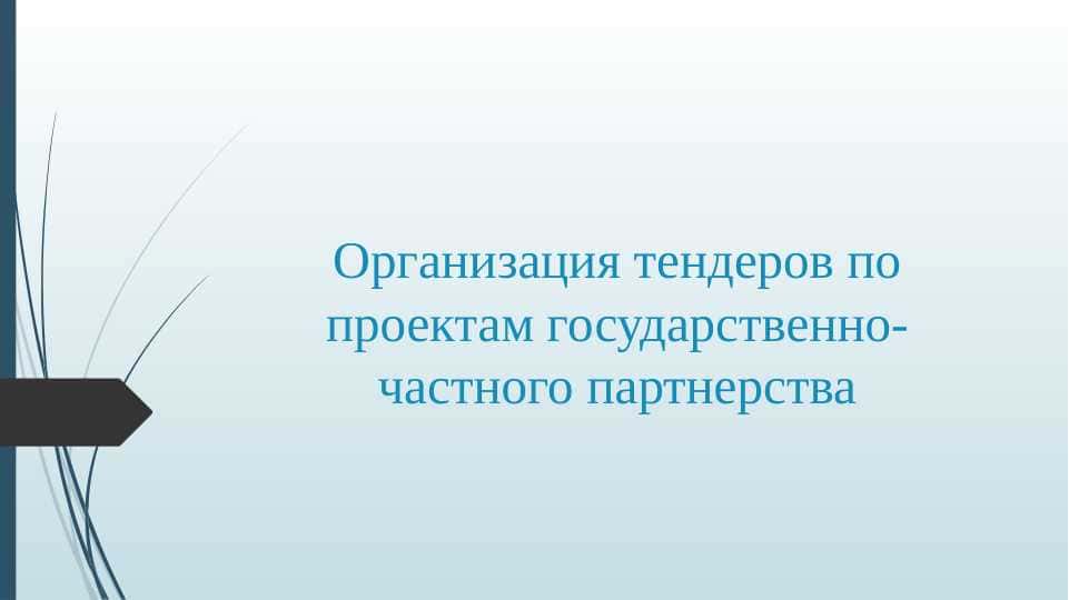 Организация тендеров по проектам государственно-частного партнерства 2