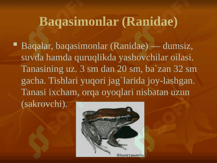 SUVDA HAMDA QURUQLIKDA YASHOVCHILAR SLAYD 3