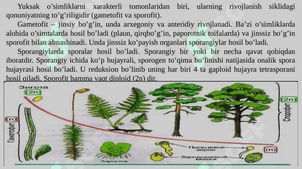 KIRISH BOTANIKA (YUKSAK O‘SIMLIKLAR SISTEMATIKASI). 8