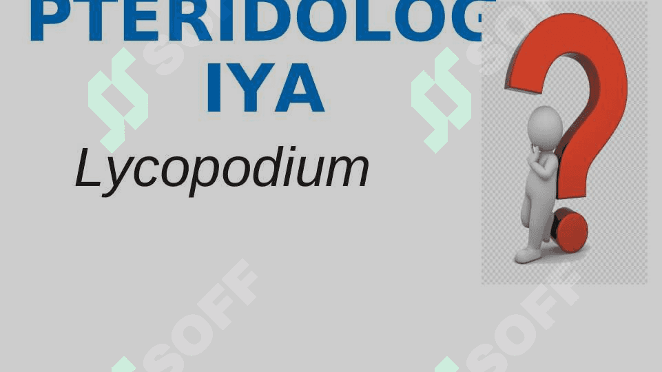 PLAUNTOIFALAR (LYCOPODIOPHYTA) 3