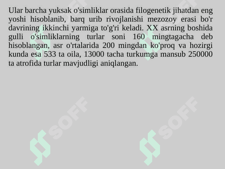 MAGNOLIYATOIFA (YOPIQ URUG'LI) O'SIMLIKLAR BO'LIMI - MAGNOLIOPHYTA, ANGYOSPERMAE 4