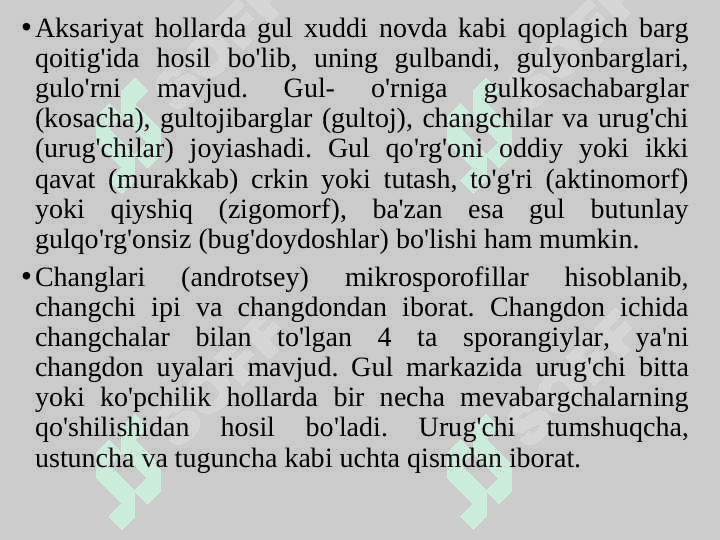 MAGNOLIYATOIFA (YOPIQ URUG'LI) O'SIMLIKLAR BO'LIMI - MAGNOLIOPHYTA, ANGYOSPERMAE 8