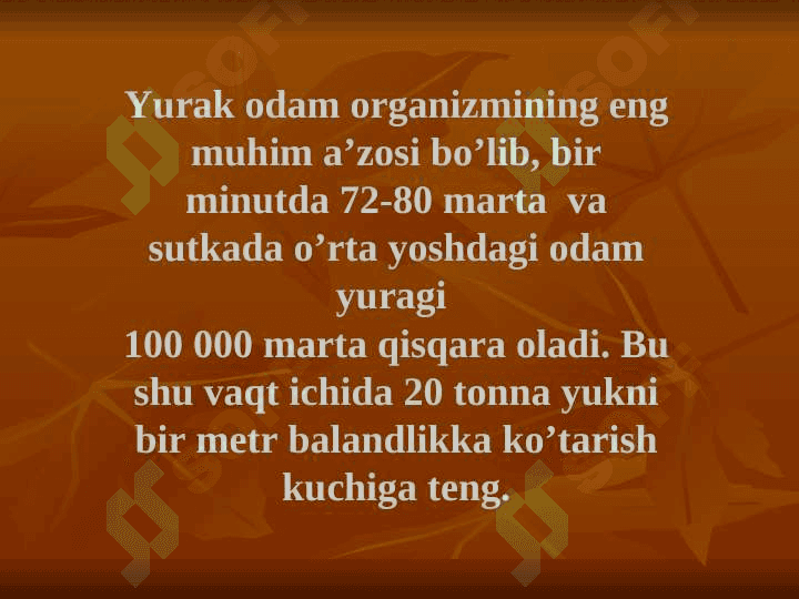 Yurak anatomiyasi 4