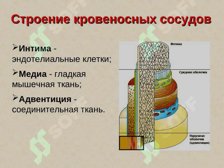 YURАK | сердце 7