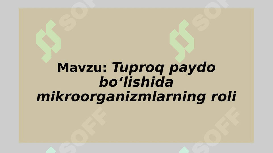 Tuproq paydo bo‘lishida mikroorganizmlarning roli 2