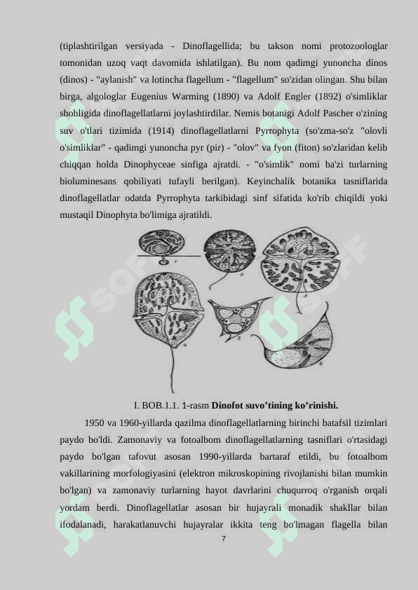 DINOFIT YOKI PIROFIT SUVO’TLARINING KLASSIFIKATSIYASI 6
