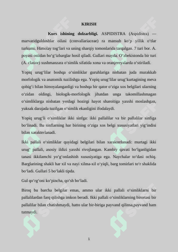 Marvaridguldoshlar oilasi. Marvaridguldoshlar oilasining turlari 2