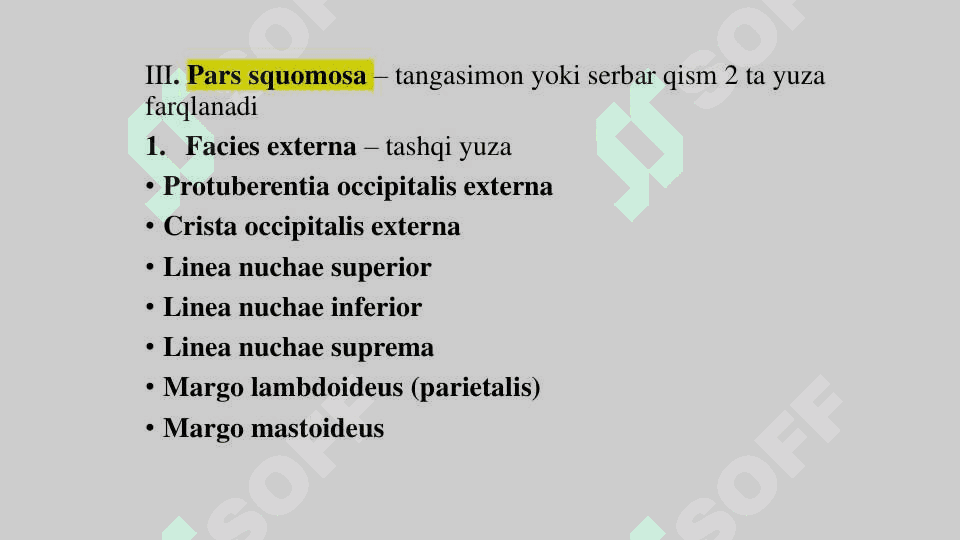 Ensa suyagi (os occipitale) 3