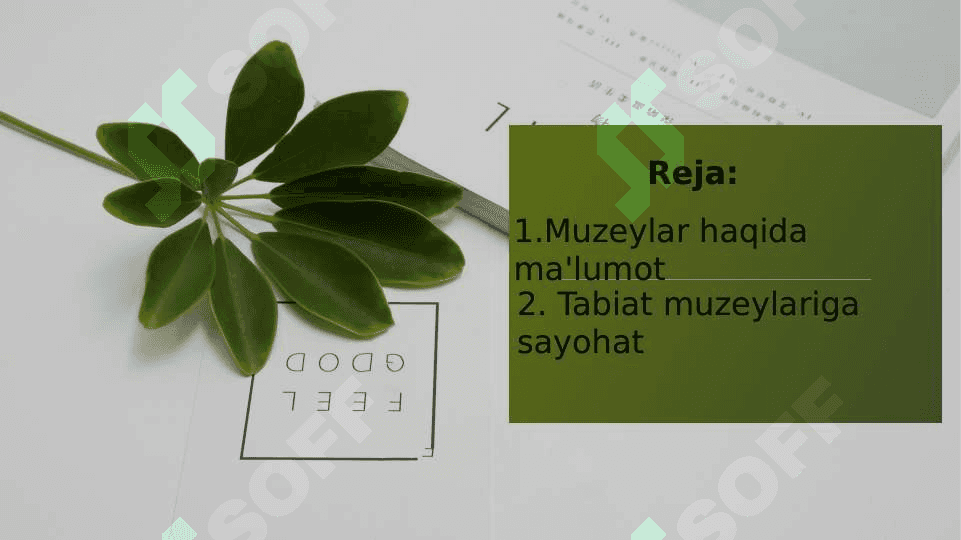 Tabiat muzeyiga tashrif 2