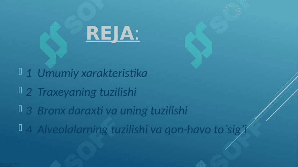Nafas olish sistemasi 2