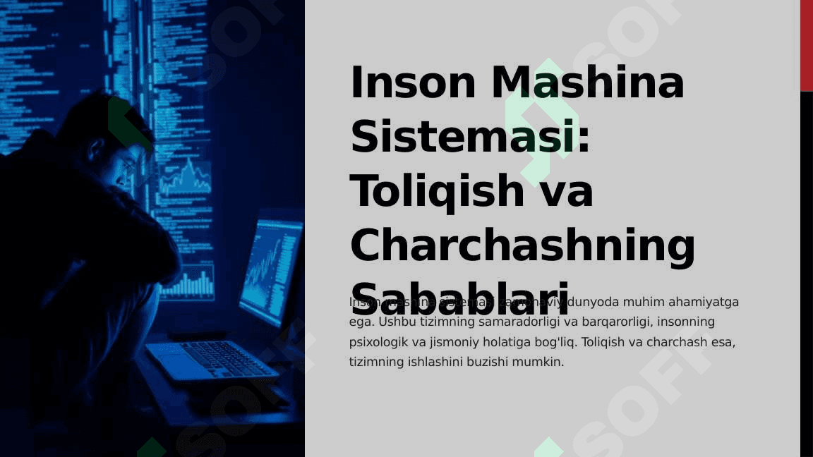 Inson Mashina Sistemasi: Toliqish va Charchashning Sabablari 2