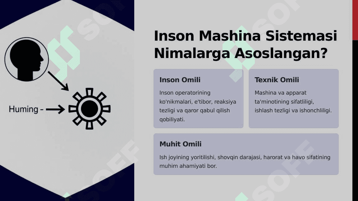 Inson Mashina Sistemasi: Toliqish va Charchashning Sabablari 3
