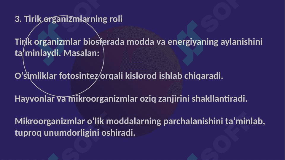 Biosfera 4