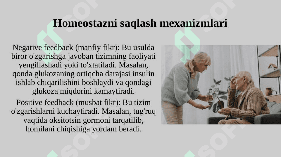 Mavzu:Gomestaz,Regeneratsiya,Transplantatsiya haqida 4