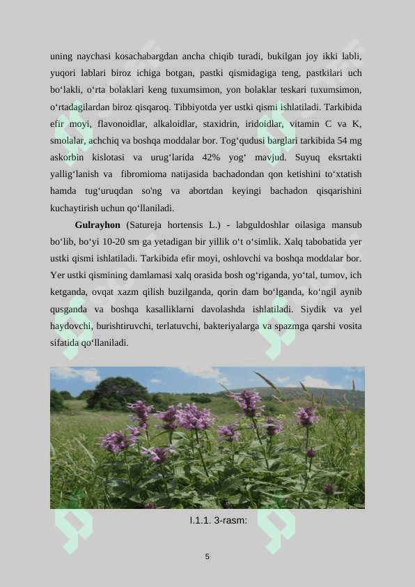Floksdoshlar oilasi.docx 6