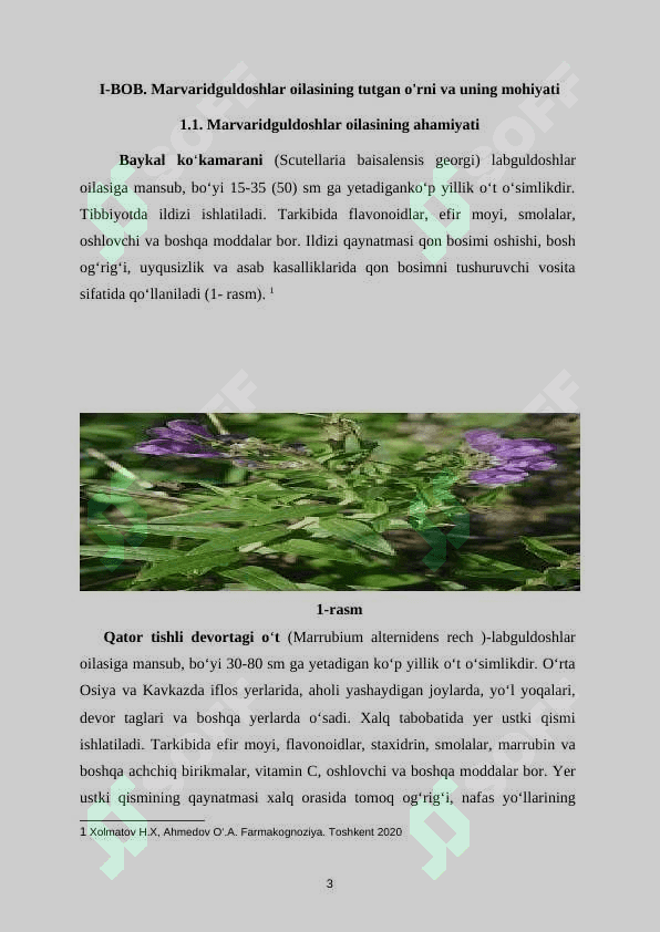 Marvaridguldoshlar oilasi.docx 4
