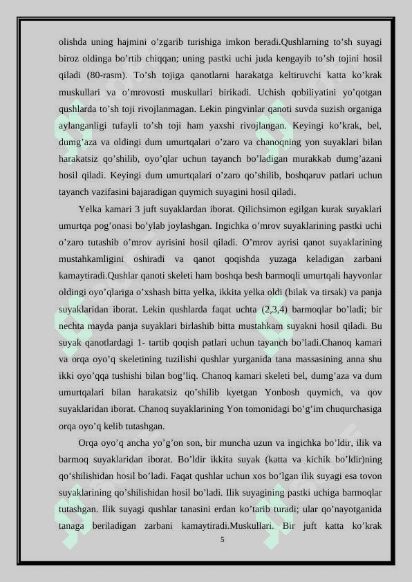 Uchib ketuvchi qushlar 5