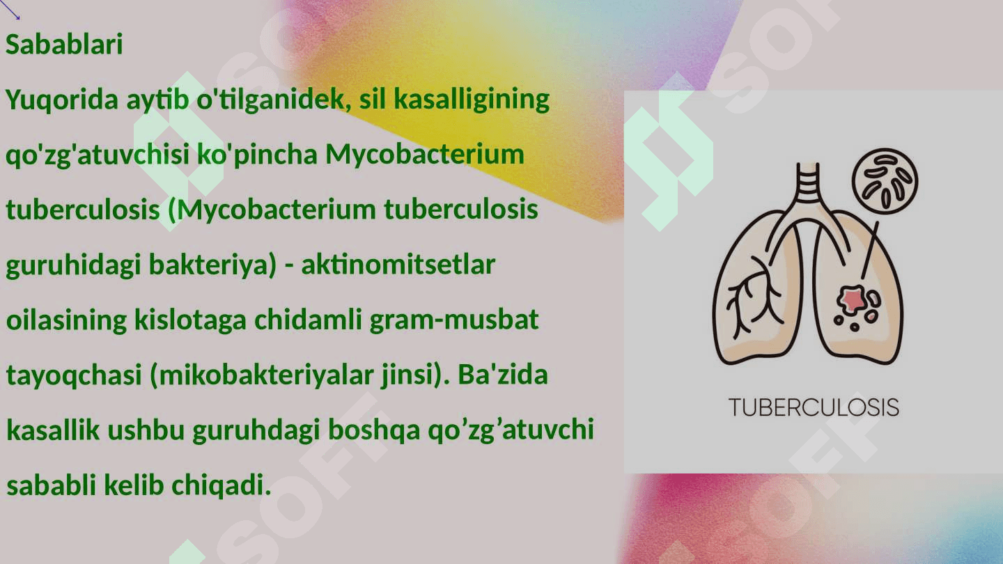 Tuberklyoz (sil) profilaktikasida sog'lom turmush tarzi 4