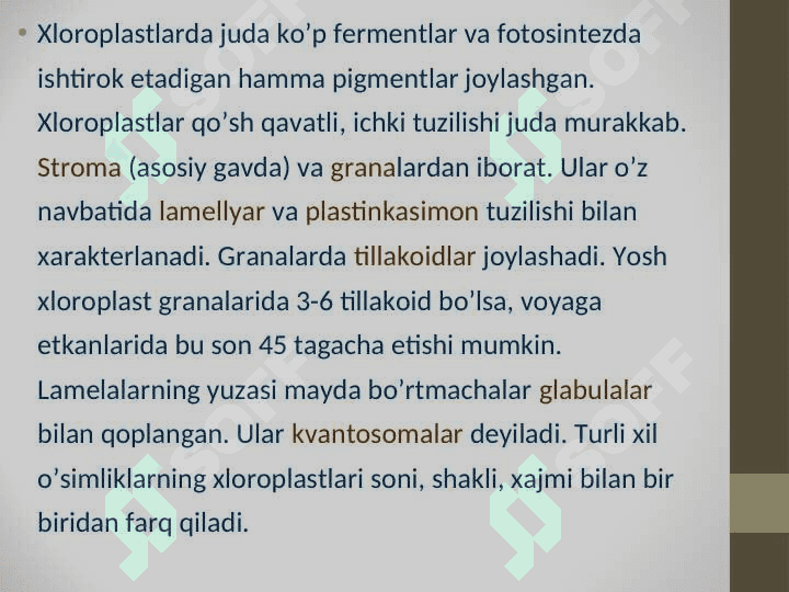 FOTOSINTEZ 8