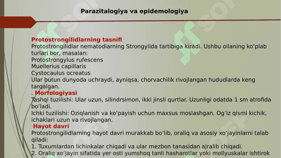 Protostrongilidlar 4