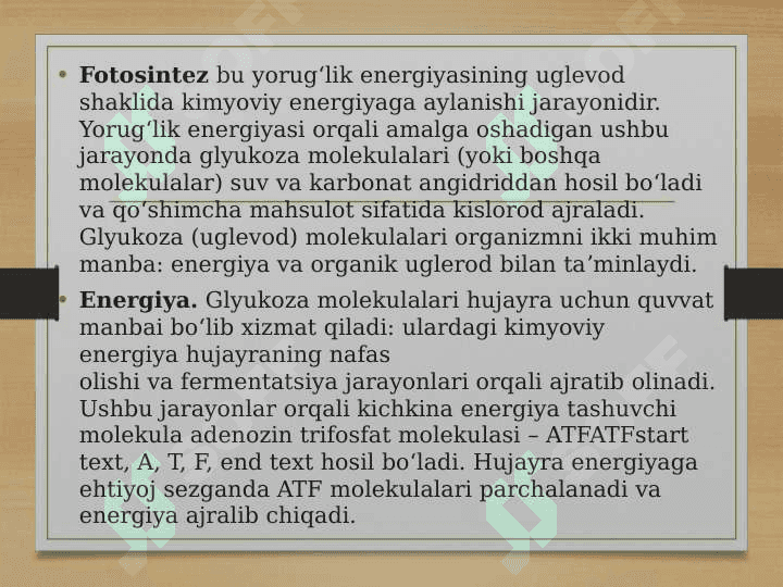 Fotosintez jarayonlari 2