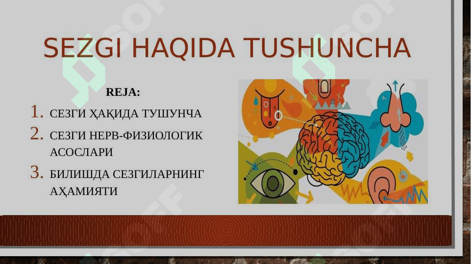 Bilish jarayonlARI. SEZGI VA IDROK 3