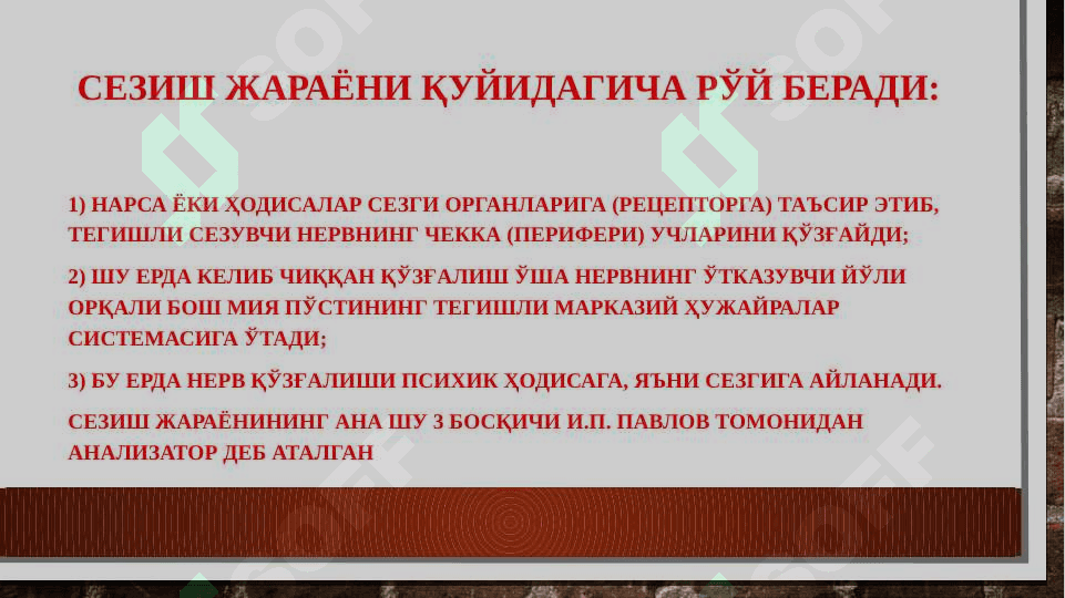 Bilish jarayonlARI. SEZGI VA IDROK 7