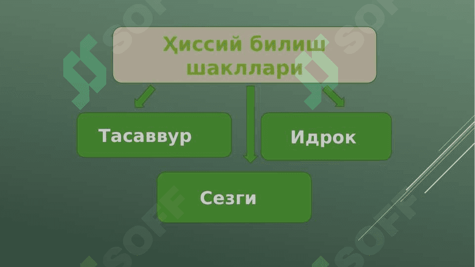 МАНТИҚ БИЛИШ НАЗАРИЯСИНИНГ ТАДҚИҚОТ ОБЪЕКТИ 7