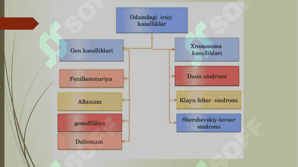 Genlarning o’zgarishi bilan bogʻliq irsiy kasalliklar 3