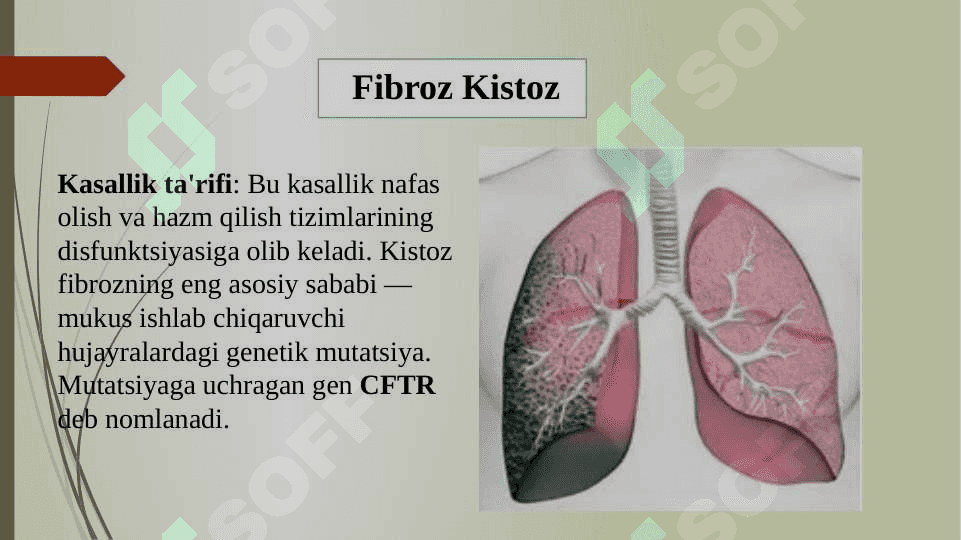 Genlarning o’zgarishi bilan bogʻliq irsiy kasalliklar 4