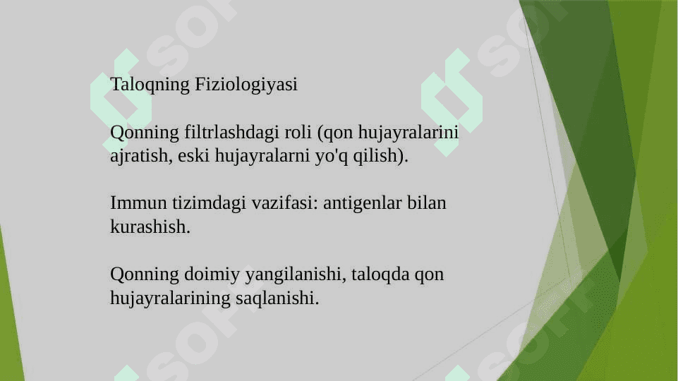 Taloqni palpatsiya va perkusiyasi 4