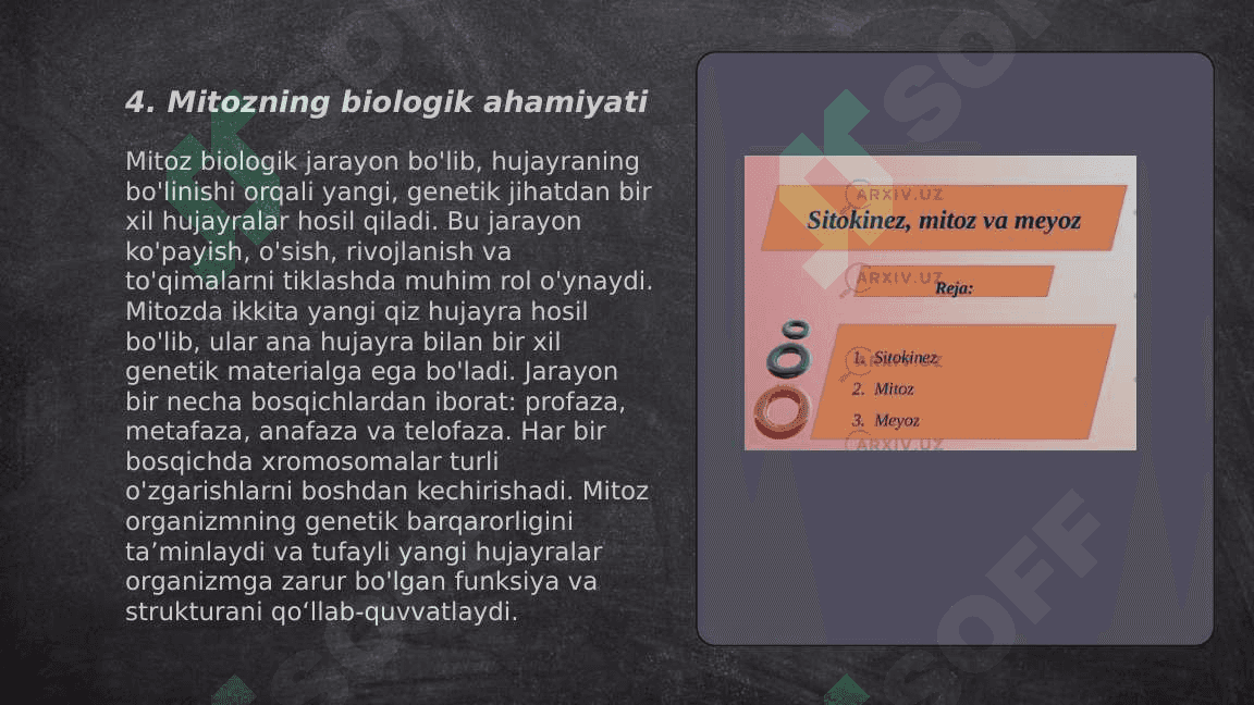 Mitoz va me’yoz sikllari.Patagen ta’sirlari. 6