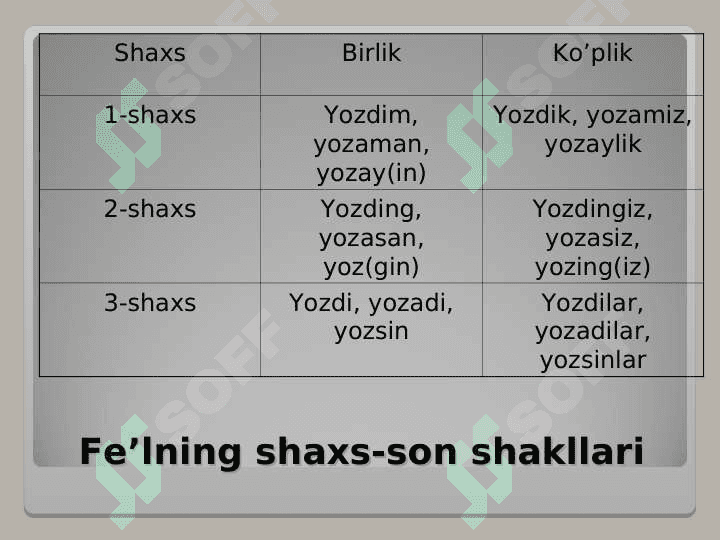 FE’L SO’Z TURKUMI 8