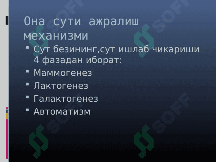 Emizuvchi ayollarning ovqatlanish ratsioni 4