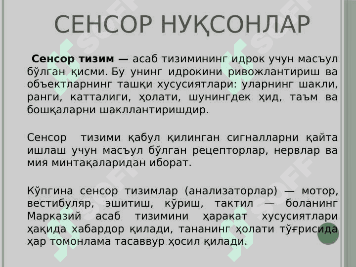Mujassam nuqsonli bolalar 3
