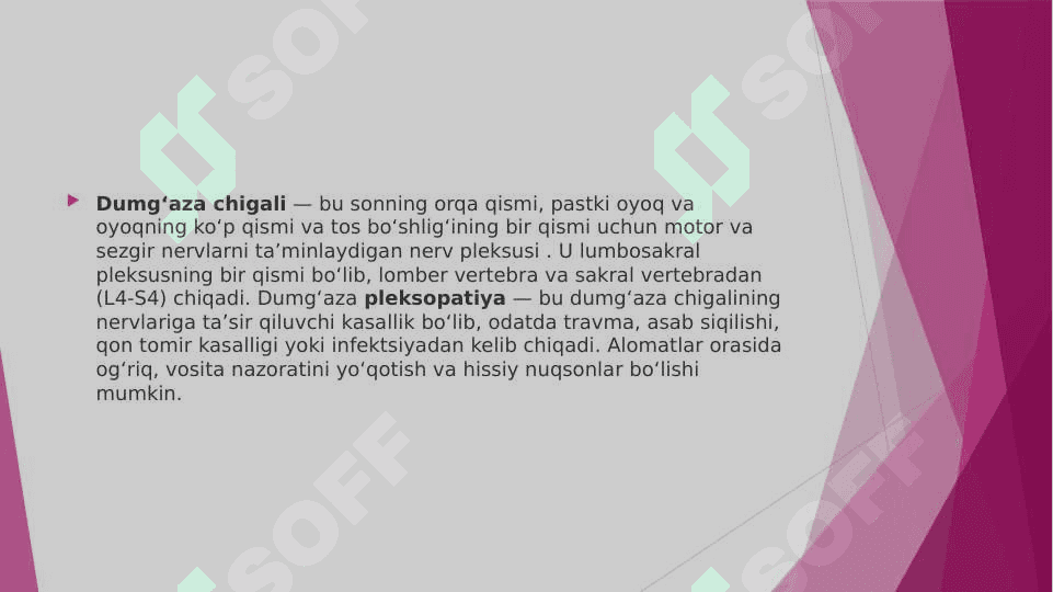 BEL DUMG’AZA VA DUM CHIGALIDA UCHRAYDIGAN ANOMALIYALAR 2