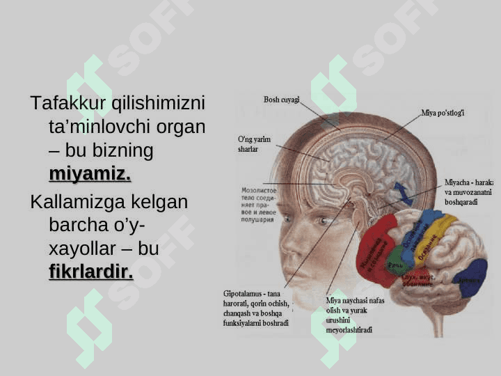 Tafakkur 6