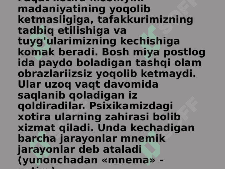 Xotira 3