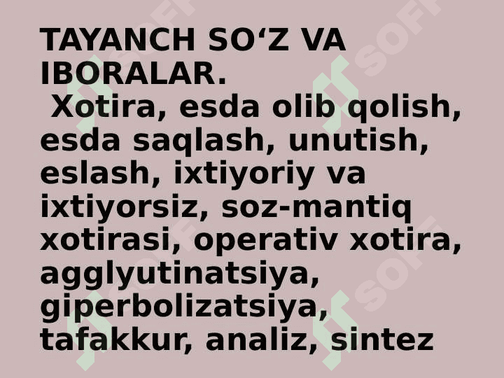 Xotira 4