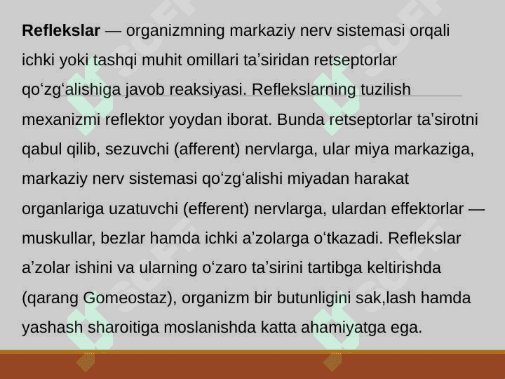 Refleks haqida ta’limot 2
