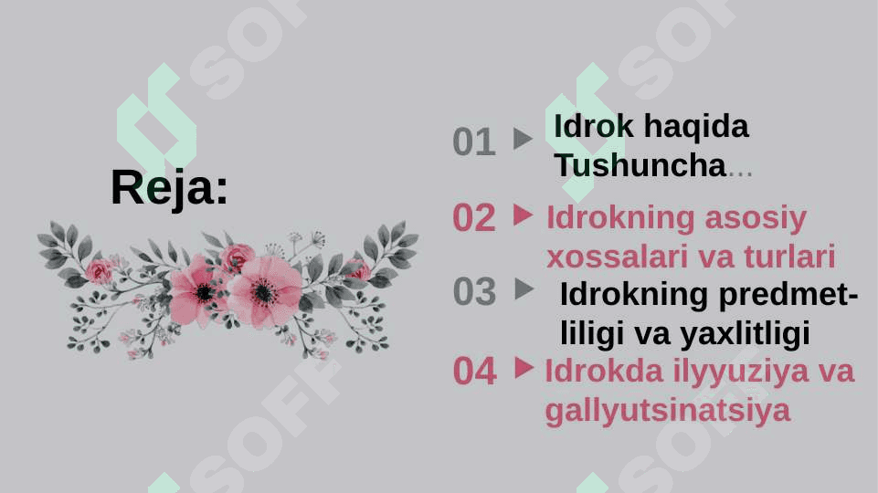 Idrok ilyuzalari va ularni amaliyotda qo'llash taqdimot 2