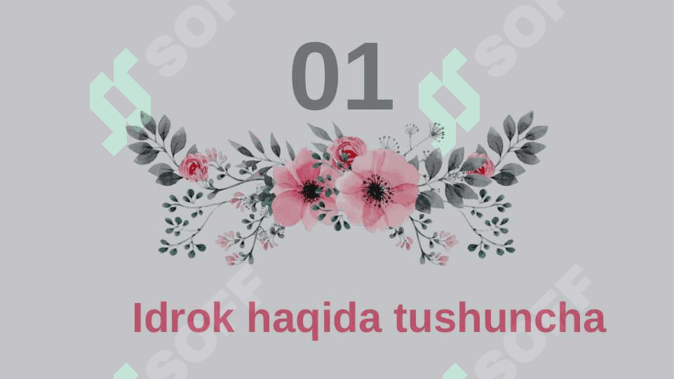 Idrok ilyuzalari va ularni amaliyotda qo'llash taqdimot 3