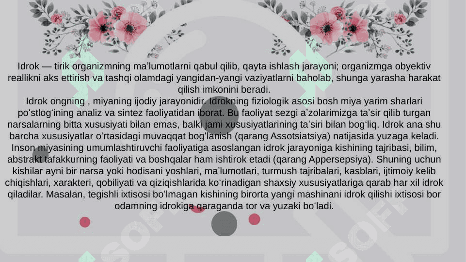 Idrok ilyuzalari va ularni amaliyotda qo'llash taqdimot 4